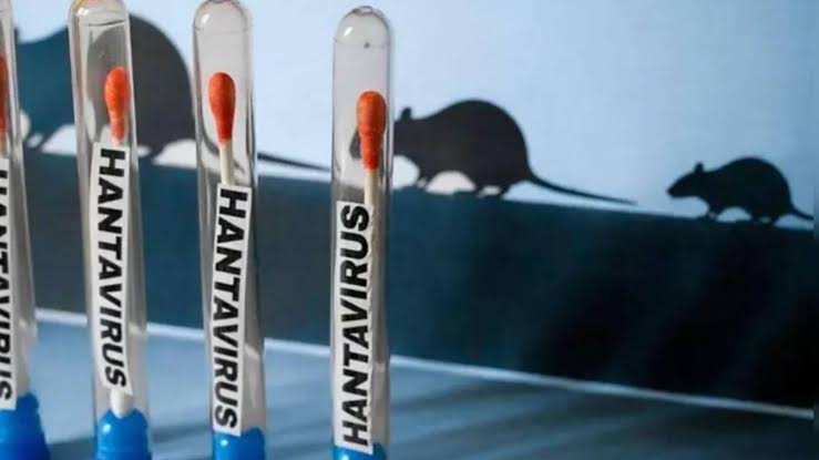 Academia Nacional descarta alerta sanitaria por hantavirus en Venezuel