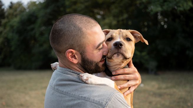 ¿Quieres que tu perro viva más años? Estos 6 hábitos son la clave según expertos