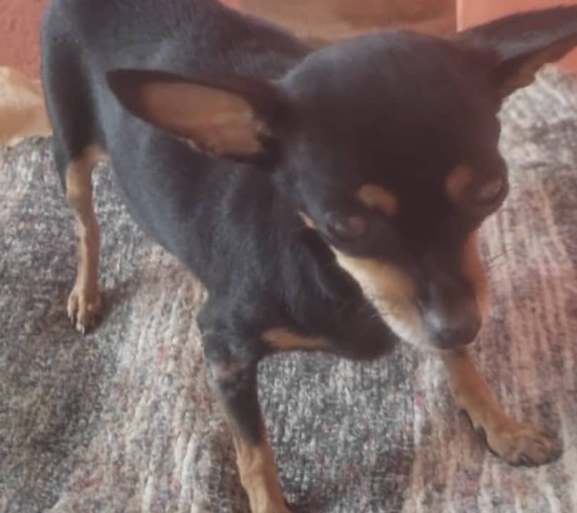 Sarita necesita un donante de sangre urgente y apoyo para una cirugía para salvar su vida