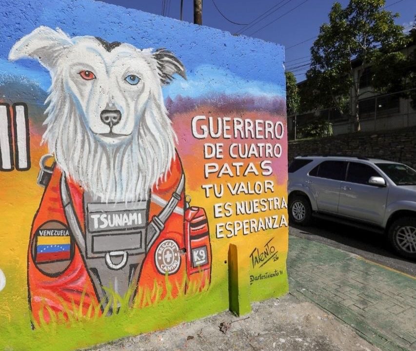 Un mural para un valiente: La comunidad honra la labor de Tsunami en La Guaira