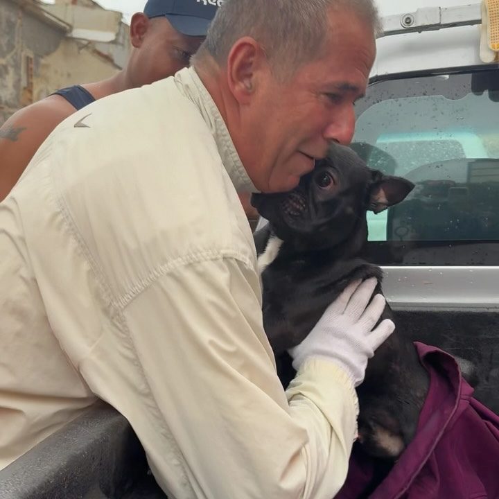 Rescatan a perrito con vida tras 16 días bajo los escombros