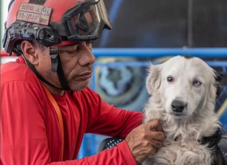 Tsunami y su cuidador, Jorge Beens, están por acceder a un nuevo hogar tras haberlo perdido durante los terremotos