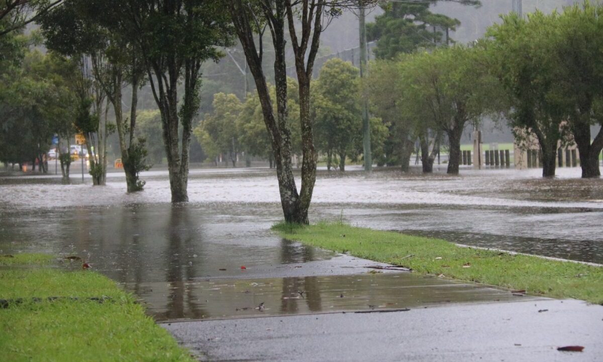 Fenómeno El Niño y la llegada de ondas tropicales elevarán las precipitaciones en Venezuela