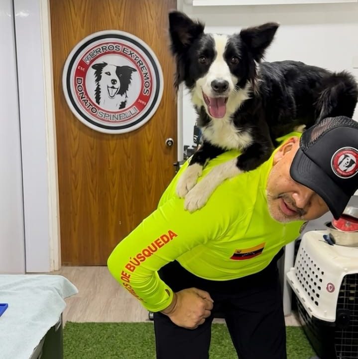 Legado de rescate: Karu, hija de Tsunami, comienza su formación oficial en búsqueda y rescate