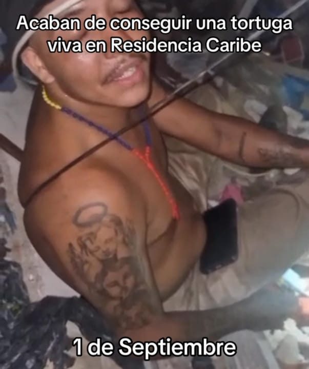 La Guaira: Hallan un morrocoy con vida entre los escombros de Residencia Caribe luego de 69 días de los terremotos